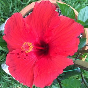 Meet your Posher, Effie